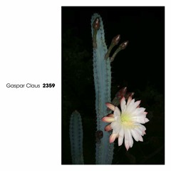 TRACK PREMIERE : Gaspar Claus - Amour Constrictor