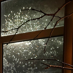 Hans Dunkelkammer - B38 Session 156 emastered V1