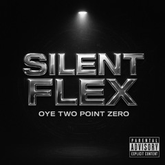 Silent Flex Reloaded