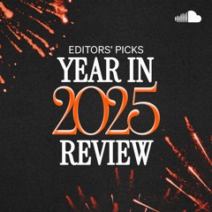 Editors' Picks: 2025 In Review