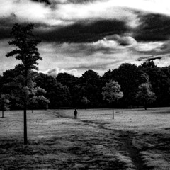 Kane & Lynch 2 Dog Days - Interesting Times (feat. Na Li)