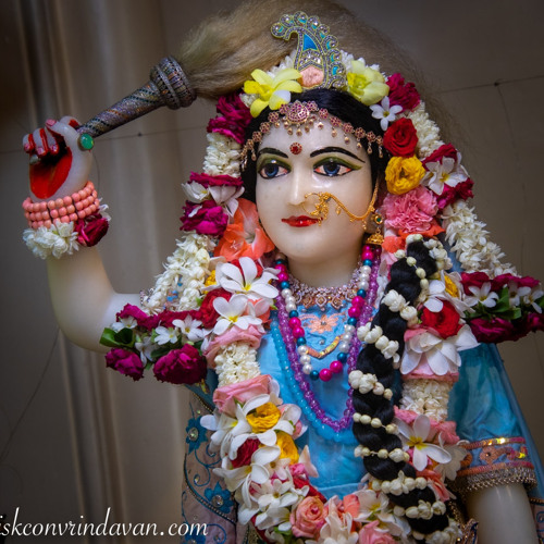 Jaidev · Evening Shift Vrindavan · 7.15.23