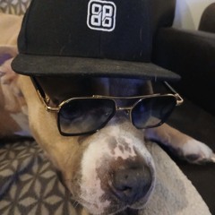 Mix Live Amnésia Damien.r Part 1.mp3