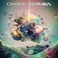 Owntrip & Vertikka - Meeting of Mind