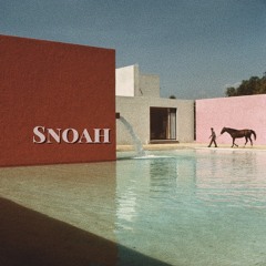 Snoah [The Future Beats Show 246, 250, 300]