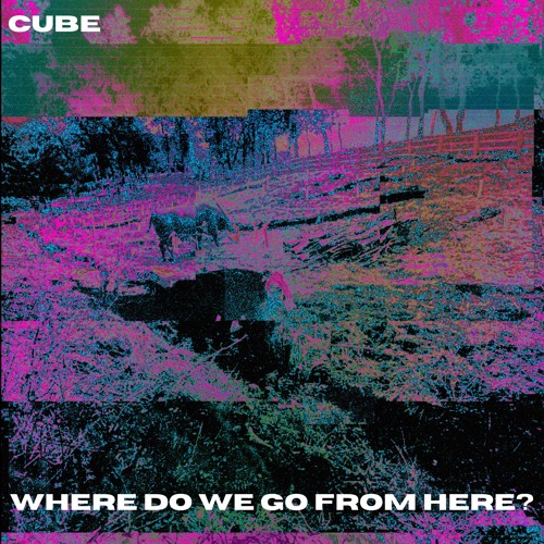 Where do we go from here?