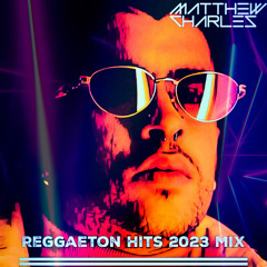 Reggaeton Hits 2023 Mix