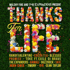 Walshy Fire, The Expanders, Randy Valentine - Rubble Rebel (Champion)
