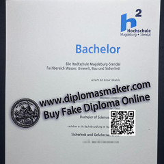 Obtain a fake Hochschule Magdeburg Stendal degree online.
