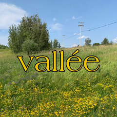 vallée