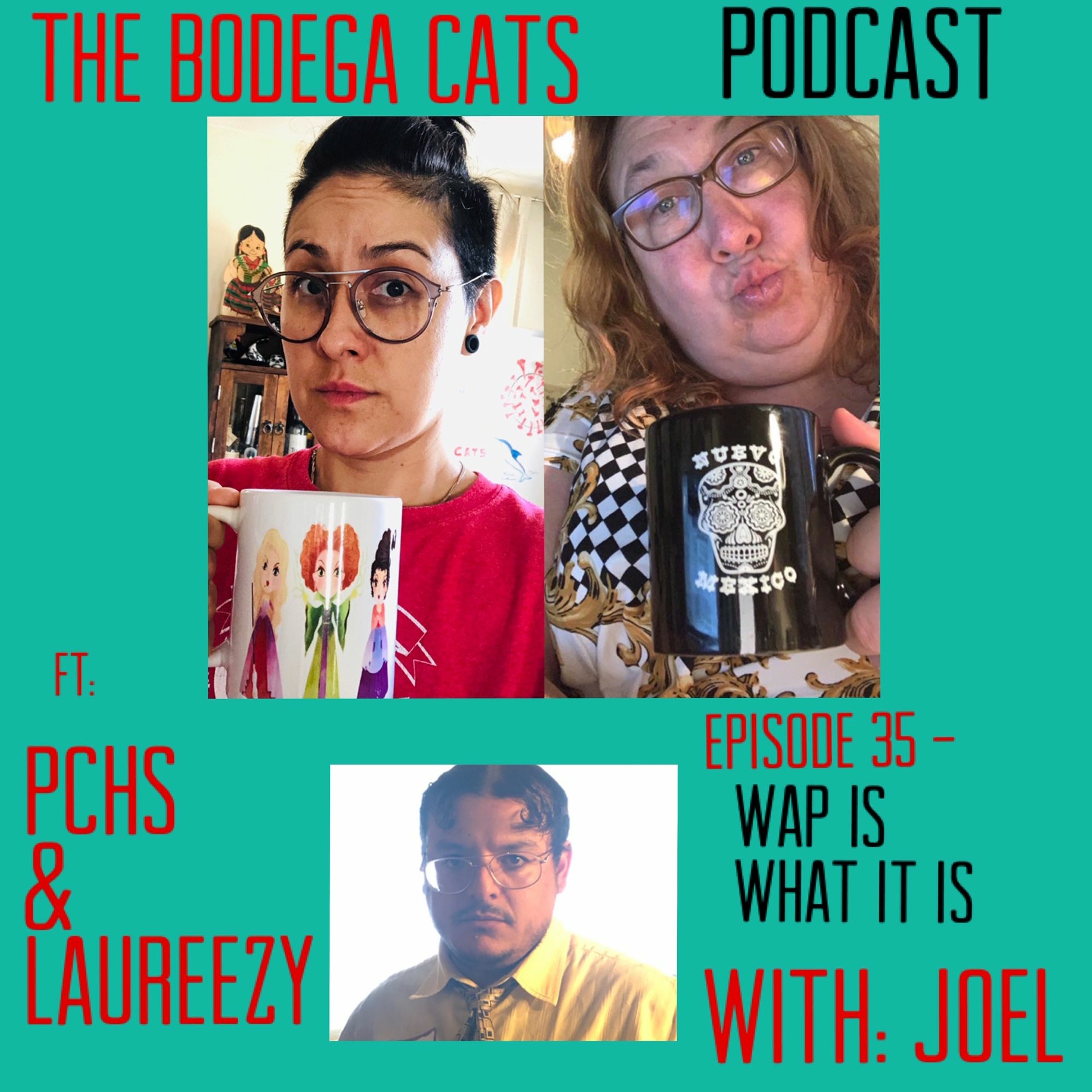 The Bodega Cats Podcast