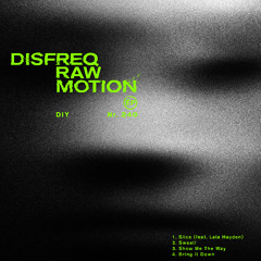 Disfreq - Slice feat. LALA HAYDEN