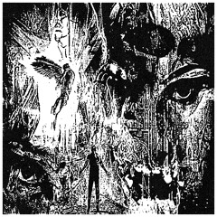 Skappakam - Tuned