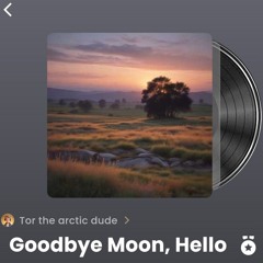 Goodbye Moon, Hello Sun.mp3