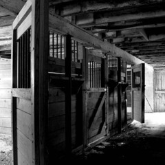 GHOST IN THE STABLE PART 2