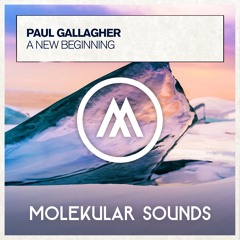 Paul Gallagher - A New Beginning