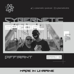 Cybernetic Special __18 by DIFF!RANT
