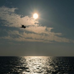 Mesle Ye Khabe (Milad Babaei)