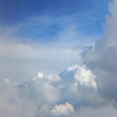 about two weeks to december