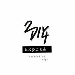 2DIY4 Exposé - curated by Wapi