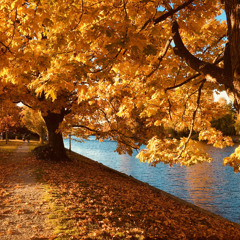 Autumn Melody