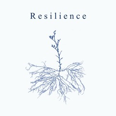 Roots (The Storm)