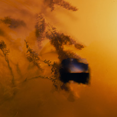 jesses car