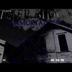 Other Side Immortalized Mix V2 Remix