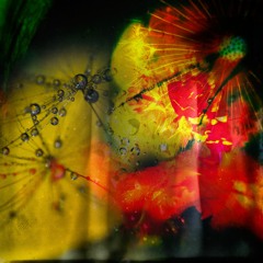 (clip) Miguel Fuentes - Poder Estar