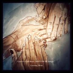 Concerto in D Minor, BWV 974 - II Adagio