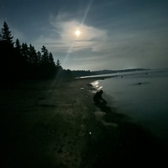 Does it ever get better