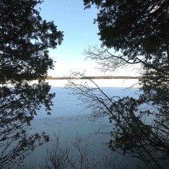 Absent Listener - March 2020