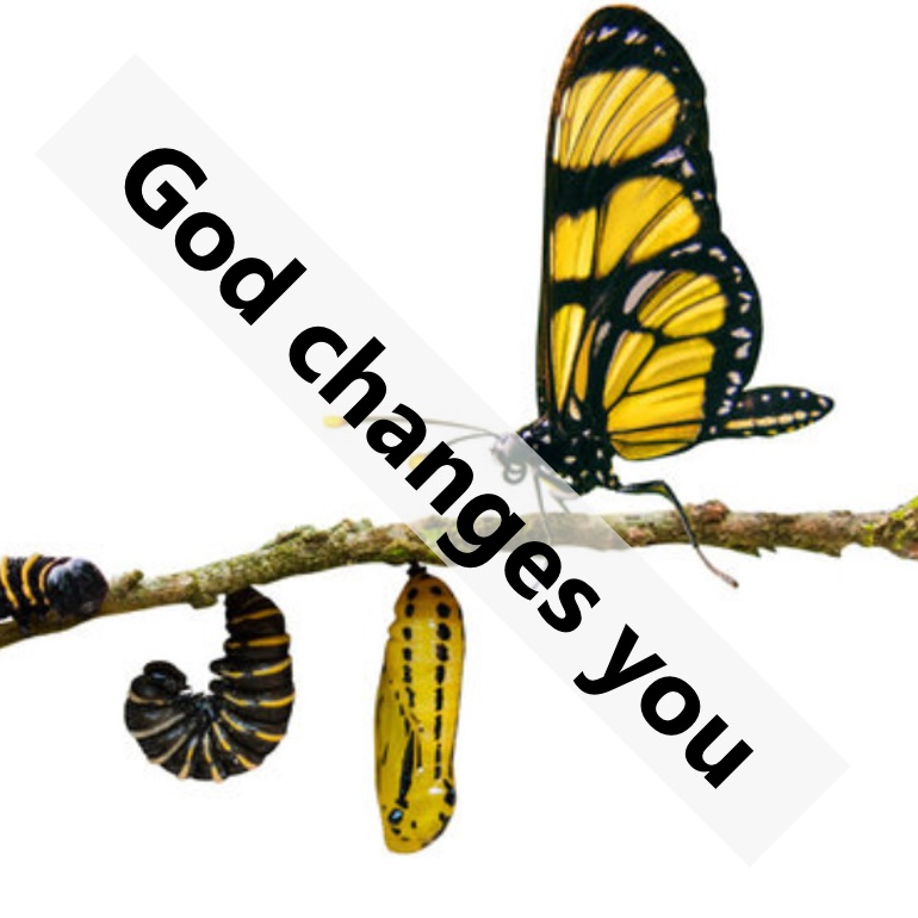 God Changes You