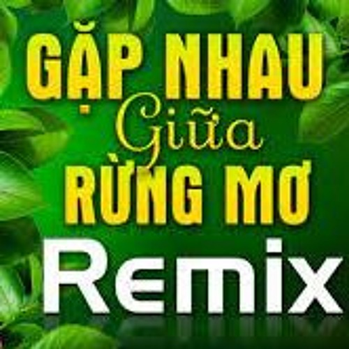 GẶP NHAU GIỮA RỪNG MƠ REMIX Mới Ra Lò 2021  Nhạc Đỏ Cách Mạng Tây Bắc Dj Remix Vang Tận 5 Châu