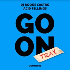 PREMIERE: DJ Roque Castro - Acid Fellings [Go On Trax]
