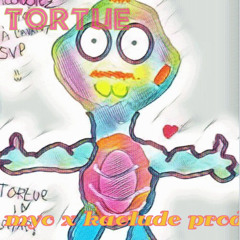 TORTUE by MYO Kaolude-PROD !
