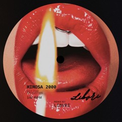 Mimosa 2000 (Libvri remix)