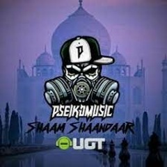 Pseikomusic - Shaam Shaandaar ( Extended Version )
