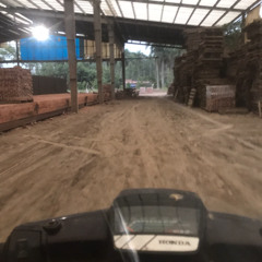 Trả Lại Thanh Xuân Cho Em - Guang