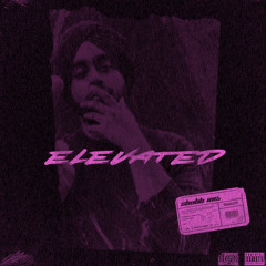 Elevated - Shubh (Slowed & Reverbed)