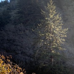 I keep Burning Tonight + mina