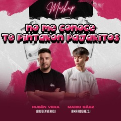 No Me Conoce X Te Pintaron Pajaritos (Ruben Vera & Mario Sáez Mashup) FILTRADA!!!!