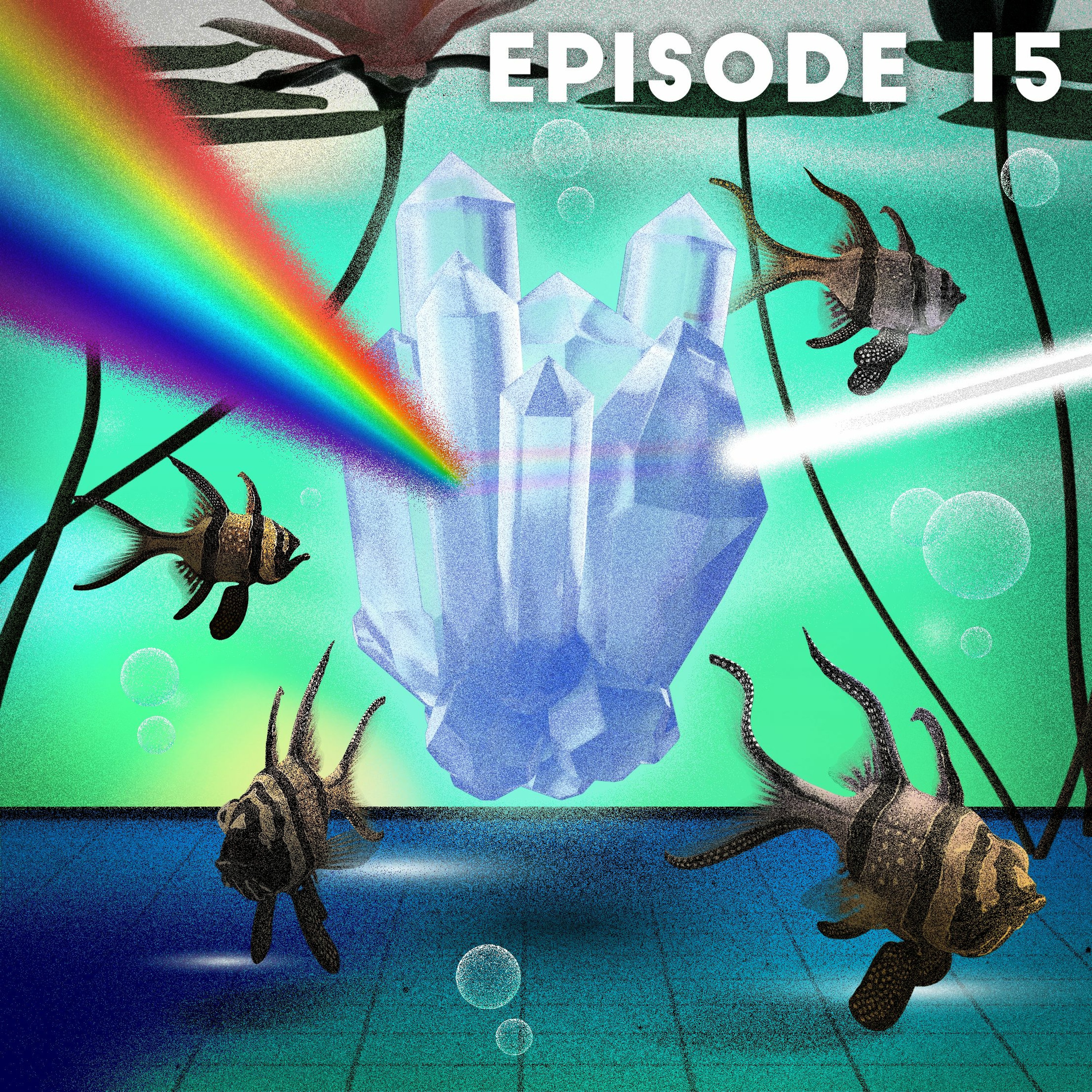 Undisciplined Podcast