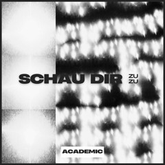 Academic - Schau dir zu (Schranz Edit)