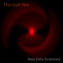 The Gulf War