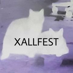 XALLFEST SET - DURXCLL