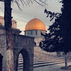 أصحاب الأرض 🇵🇸🗝️𓂆 [vocals].mp3