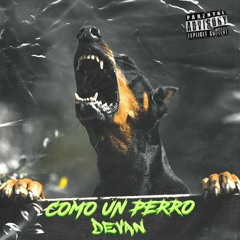 COMO UN PERRO