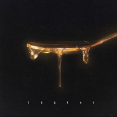 002 - T R O P H Y - x Shy0ff x FLN