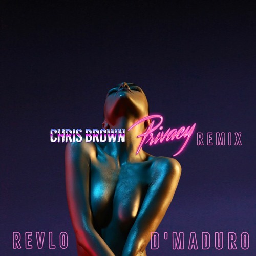 Chris Brown - Privacy (D'Maduro & Revlo Remix)